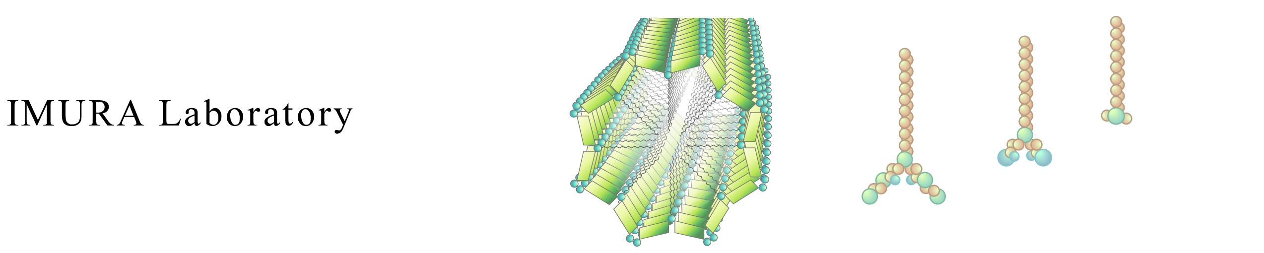 Self-Assembly of Surfactants