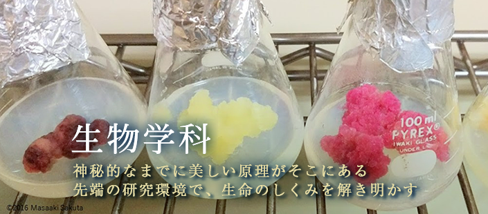 生物学科スライド7